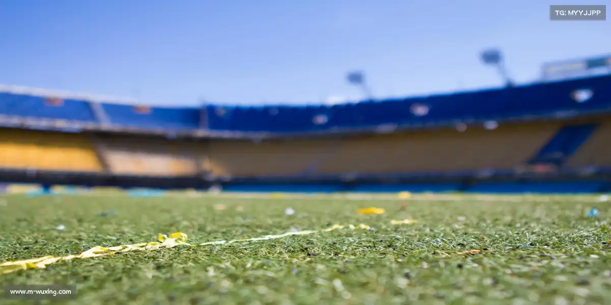 五星体育直播——🏊泳池破浪,速度称王!